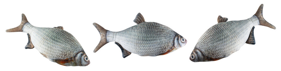 Fish toy on a isolated white background