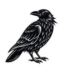 Stylized Black Raven Illustration