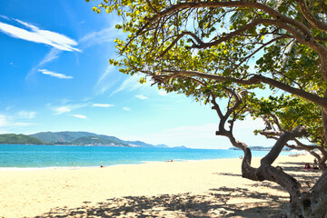 Nha Trang city, Vietnam - October 29, 2024 : Overlooking the beautiful coast of Nha Trang with palm trees on the beach with deck chair and parasol. Beautiful white sand tropical beach in coastal city.