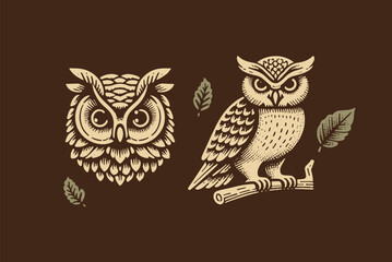 Owl. Head and whole body set. Vintage vector hand drawn illustration, emblem, logo, cut out. Brown background