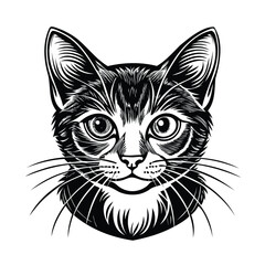 Detailed Black and White Cat Illustration