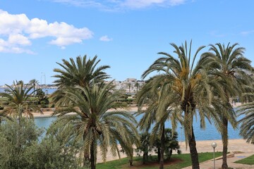 Fototapeta premium Blick in die Altstadt von Palma de Mallorca