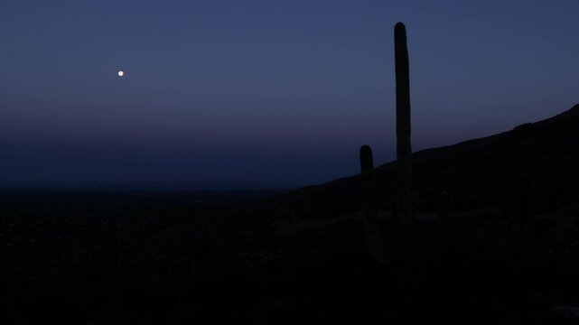 Timelapse of sunrise over Tucson Arizona from the Babad Do'ag Vista in the Pusch Ridge Wilderness on Mount Lemmon. A large Saguaro cactus dominates the foreground