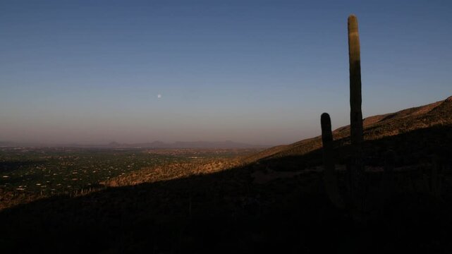 Timelapse of sunrise over Tucson Arizona from the Babad Do'ag Vista in the Pusch Ridge Wilderness on Mount Lemmon. A large Saguaro cactus dominates the foreground
