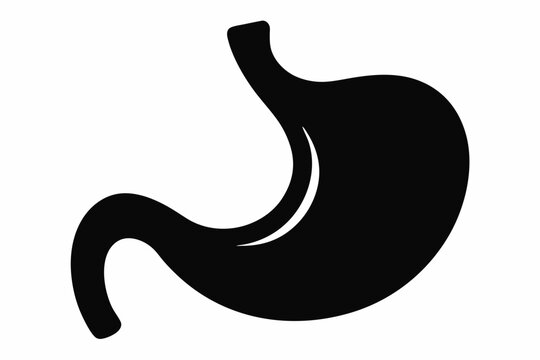 recommend clip art: Stomach icon vector, stomach human internal organ digestive system anatomy, stomach silhouette
                    