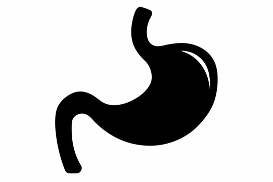 recommend clip art: Stomach icon vector, stomach human internal organ digestive system anatomy, stomach silhouette
                    
