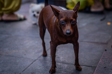 東南アジア横断中のハノイで撮影した写真