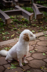 東南アジア横断中のハノイで撮影した写真