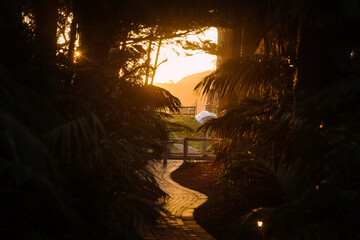horizontal silhouette shot of a sunset with tiled walkway leaves and wooden chair outside