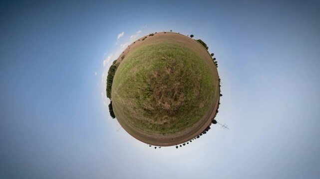 Littel Planet, Wiese im Sommer