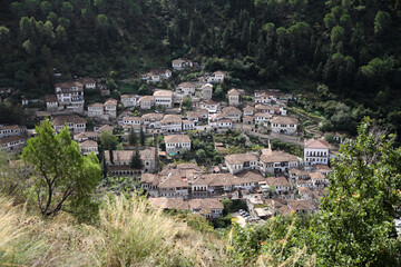 white houses with black windows and brown roof in berat, albania, view from castle, houses framed in trees