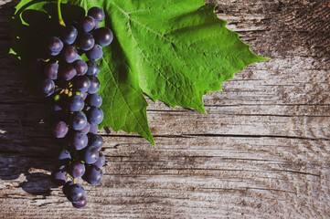 Blue grapes with leaves on an old rough wooden background, top view, copy space	