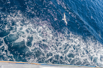 Sunlight glistens on deep blue ocean waves, with seafoam adding a dynamic texture and sparkle.