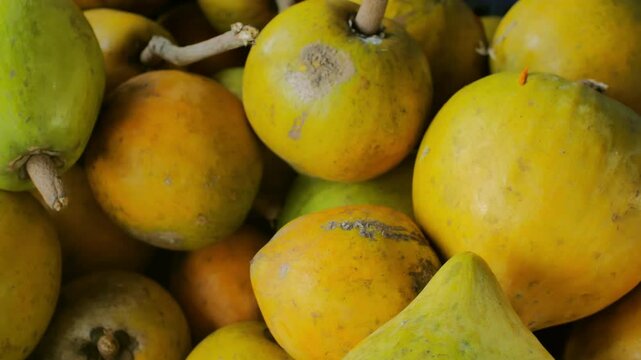 Ripe Canistel Pouteria campechiana Fruits Stacked in a Blue Basket of a Fruit Vendor, Showcasing Tropical Sweetness and Soft Texture