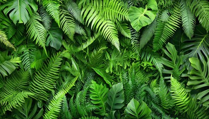 Illustration of vibrant green fern plants filling the background, creating a lush, natural setting that enhances the richness and diversity of surrounding flora