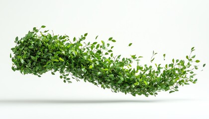 Visual representation of a vibrant arrangement of green boxwood leaves dancing in the air, set against a pure white background, emphasizing freshness and the charm of nature
