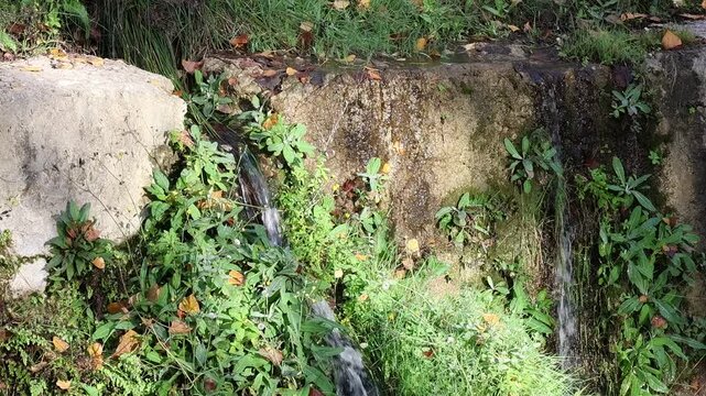 Agua del arroyo fluyendo por pared vertical junto a la vegetaci&oacute;n, Alcoy, Espa&ntilde;a