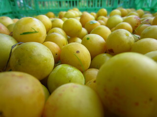 Yellow Plums Closeup in a box