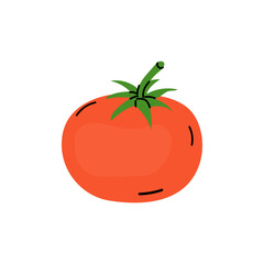 Colorful illustration of a fresh tomato with green leaves on a white background