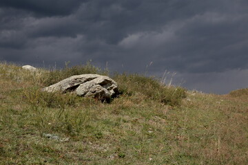 Stone in the grass against a gray sky, horizontal position