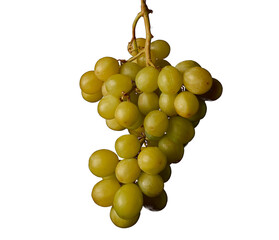 grapes