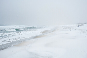Obraz premium a person walking on a beach with a surfboard