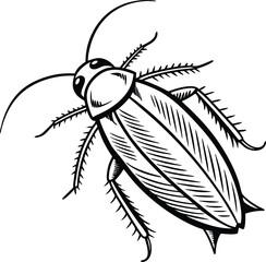 Cockroach vector illustration black and white