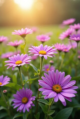 Obraz premium A vibrant field of pink daisy flowers blooming beautifully in a sunny garden, capturing the essence of spring and summer