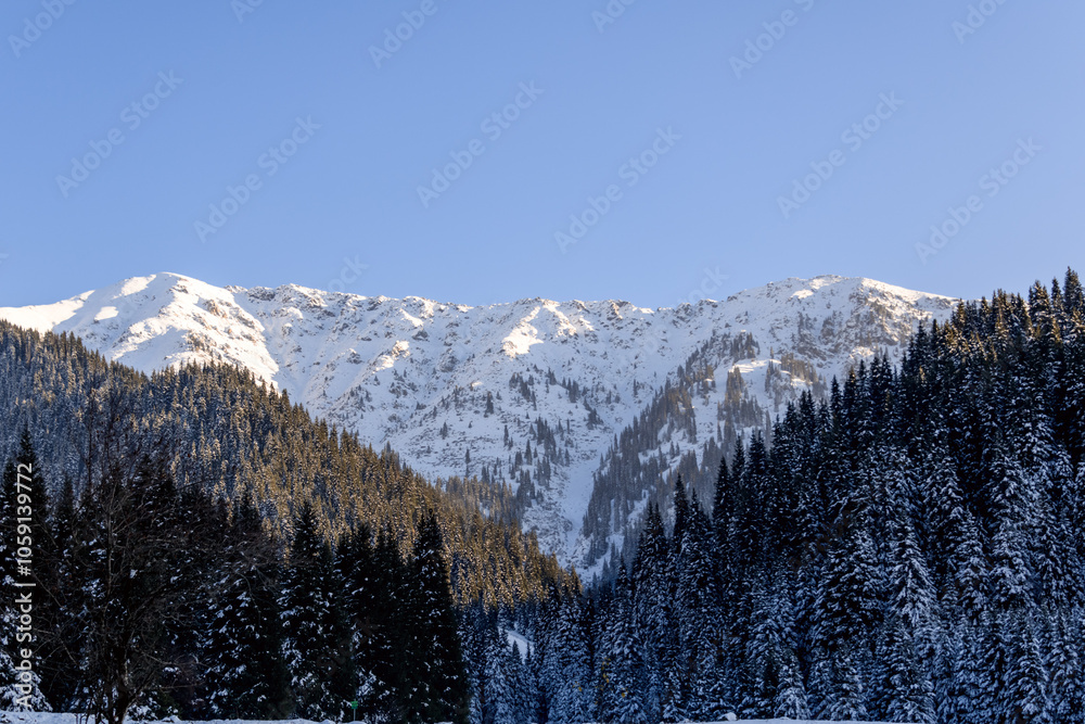 Wall mural Beautiful winter mountain landscape. Snow-covered pine trees. Snowy mountains and a clear blue sky. Winter background. Kazakhstan.