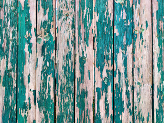 Textured wooden planks with peeling turquoise paint in natural lighting