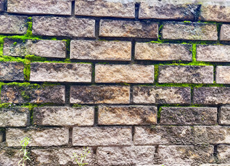 Weathered brick wall with moss growing in a garden during daylight