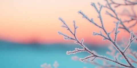 Obraz premium Frost-covered branches against a beautiful winter sunrise nature's serene artwork in the chill of early morning