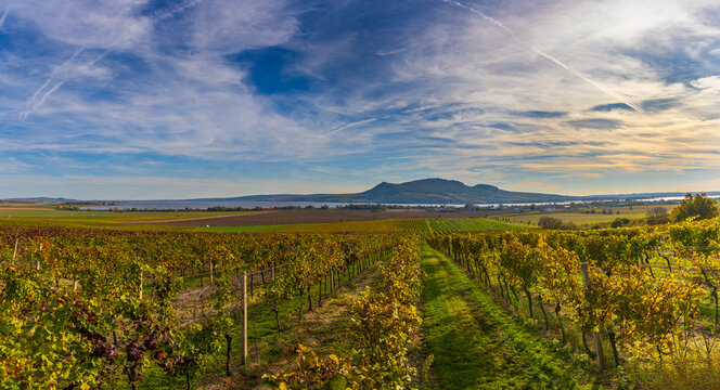 Autumn landscape with vineyard and view of Palava and Musov lake in Czech Republic. Dramatic clouds in the sky