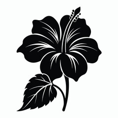 hibiscus vector illustration
