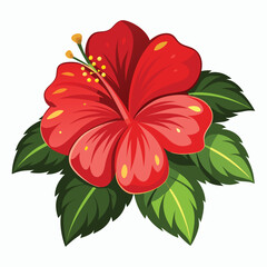 Obraz premium hibiscus vector illustration