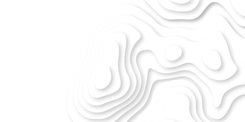 Abstract white and black papercut with lines. Background of the topographic map. White wave paper curved reliefs abstract background. Realistic papercut decoration textured with wavy layers.