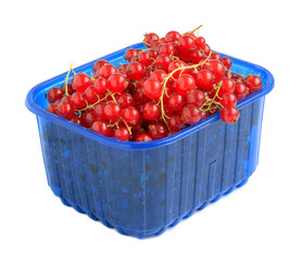 Red currants in a blue plastic container isolated on a white background.