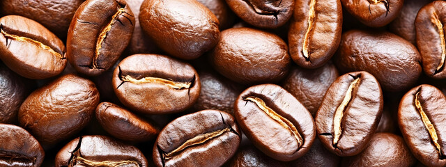 Creative coffee banner wallpaper, seamless pattern texture - Top view of brown roasted coffee beans