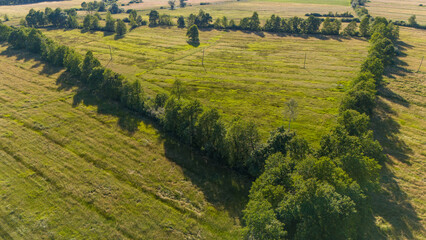 Aerial view of agricultural land