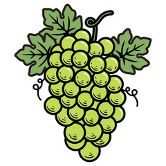 Green Grapes on a Vine