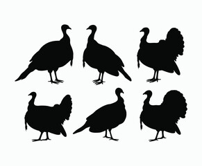 Obraz premium A Collection of Unique Turkey Poses Silhouette Illustration