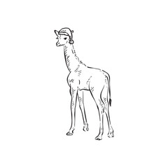 A baby giraffe wearing a christmas hat. Side profile safari animal vector. 