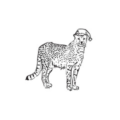 A leopard wearing a Christmas hat. Hand drawn in black and white sketch style.