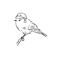 A robin drawing in black and white wearing a santa hat. This bird is sitting on a branch facing left. Festive, Christmas, Feathers