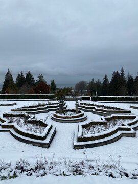 Rose Garden