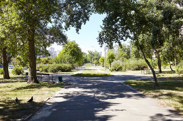 Pathway surrounded by trees and ornamental shrubs in Kyiv, Europe. Recreation place in the city park