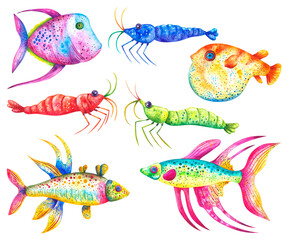 Colorful Shrimp and fish watercolor decorative painting illustration