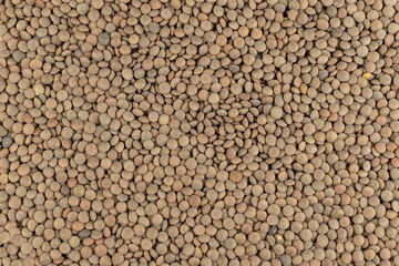 Raw lentils (Lens culinaris) from Lanzarote Island, Canary Islands, Spain, in close-up