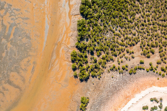 drone photo looking down on mangroves and tidal flat near Karratha in the Pilbara