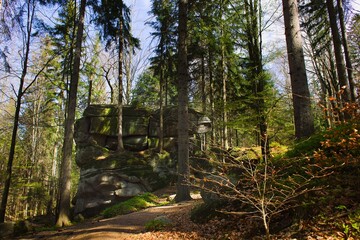 Szklarska Poręba, Karkonosze; rocks and dry forest leaves in bright sunlight.